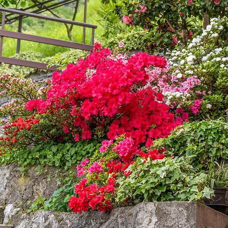 Bellavista garden&flowers Varenna Esterno foto